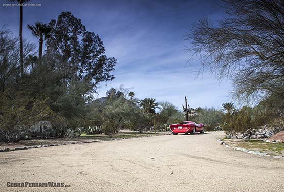 Shelby Lone Star Cobra 3