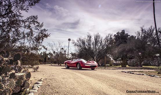 Shelby Lone Star Cobra 3