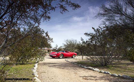 Shelby Lone Star Cobra 3